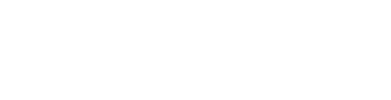 Talent Launch